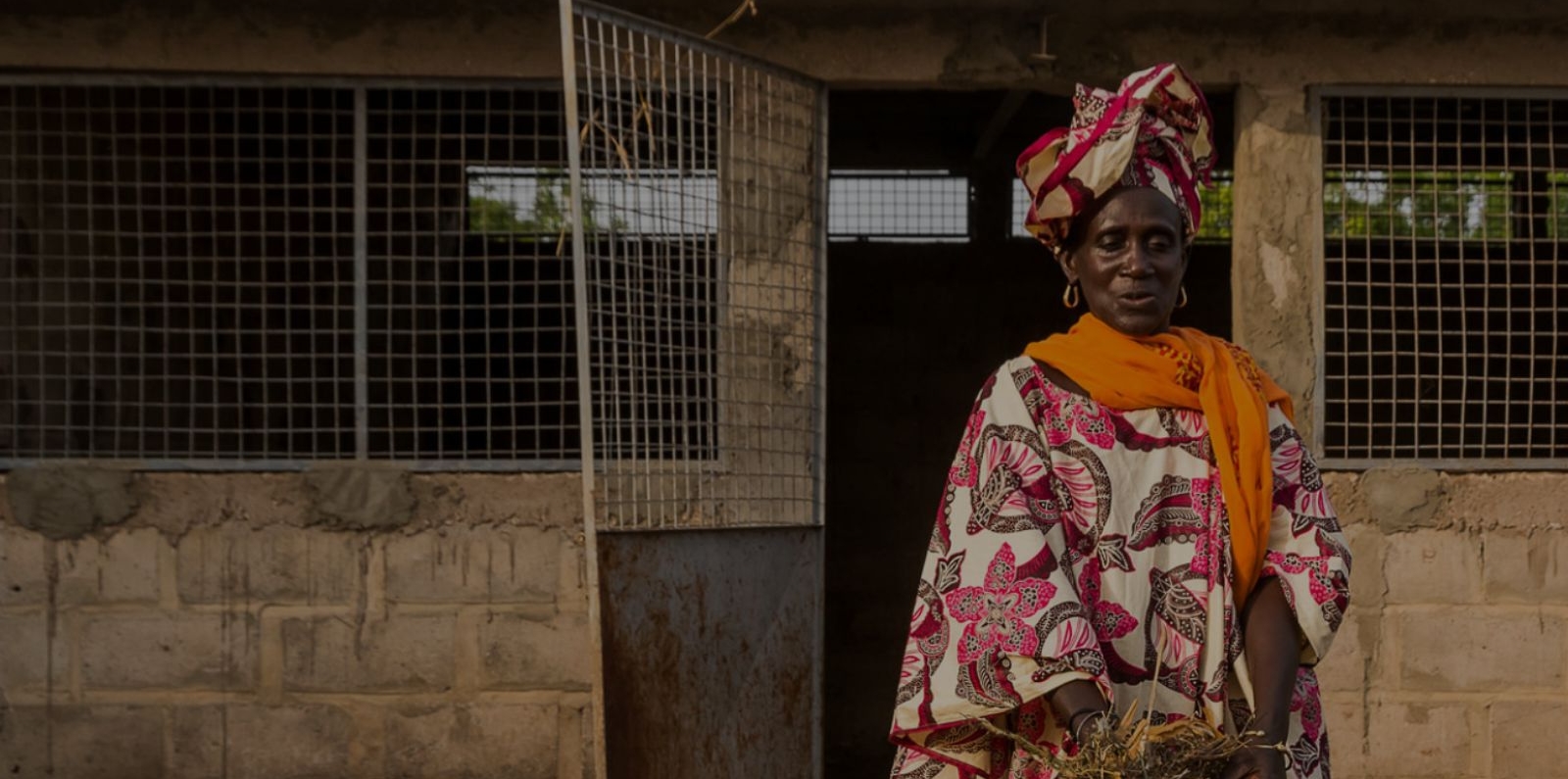 Food Security Support Project In Louga Matam And Kaffrine Regions